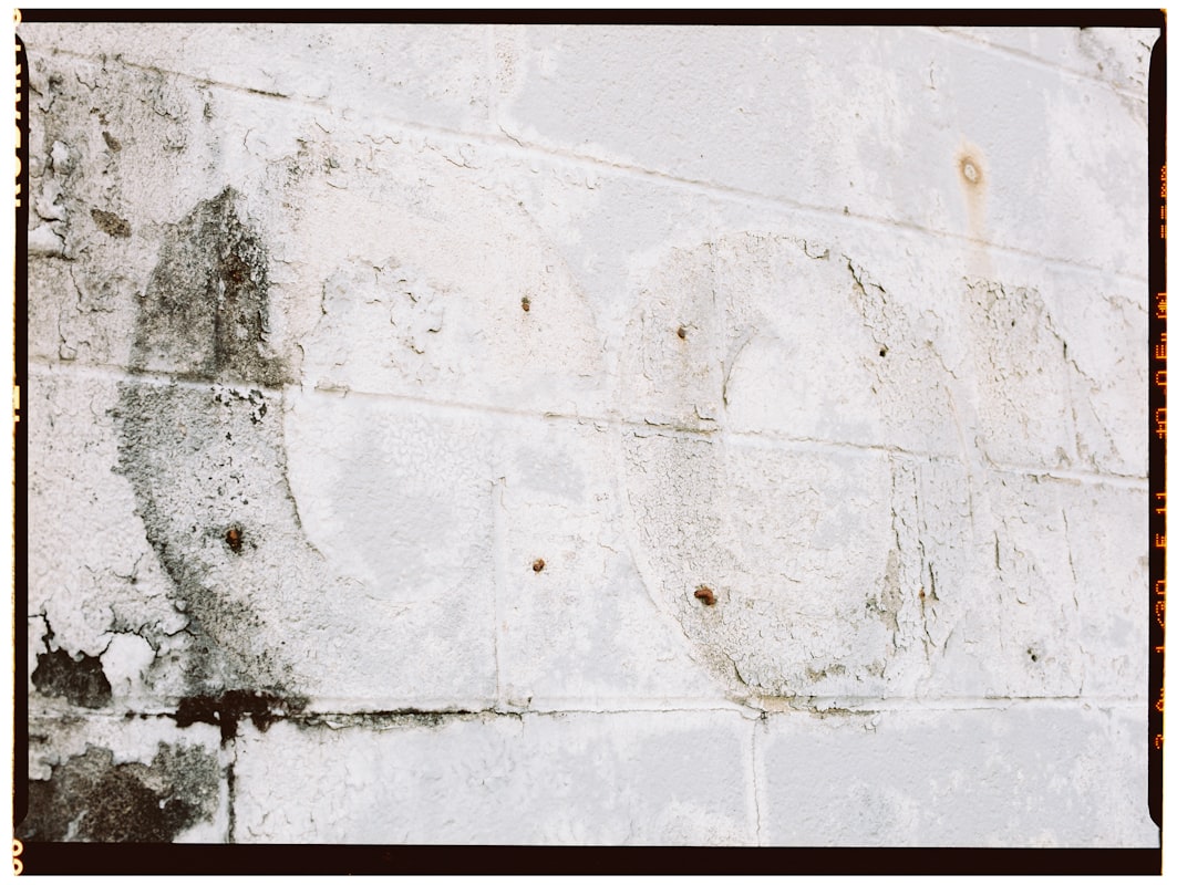 Water Extraction service in Mesa, AZ