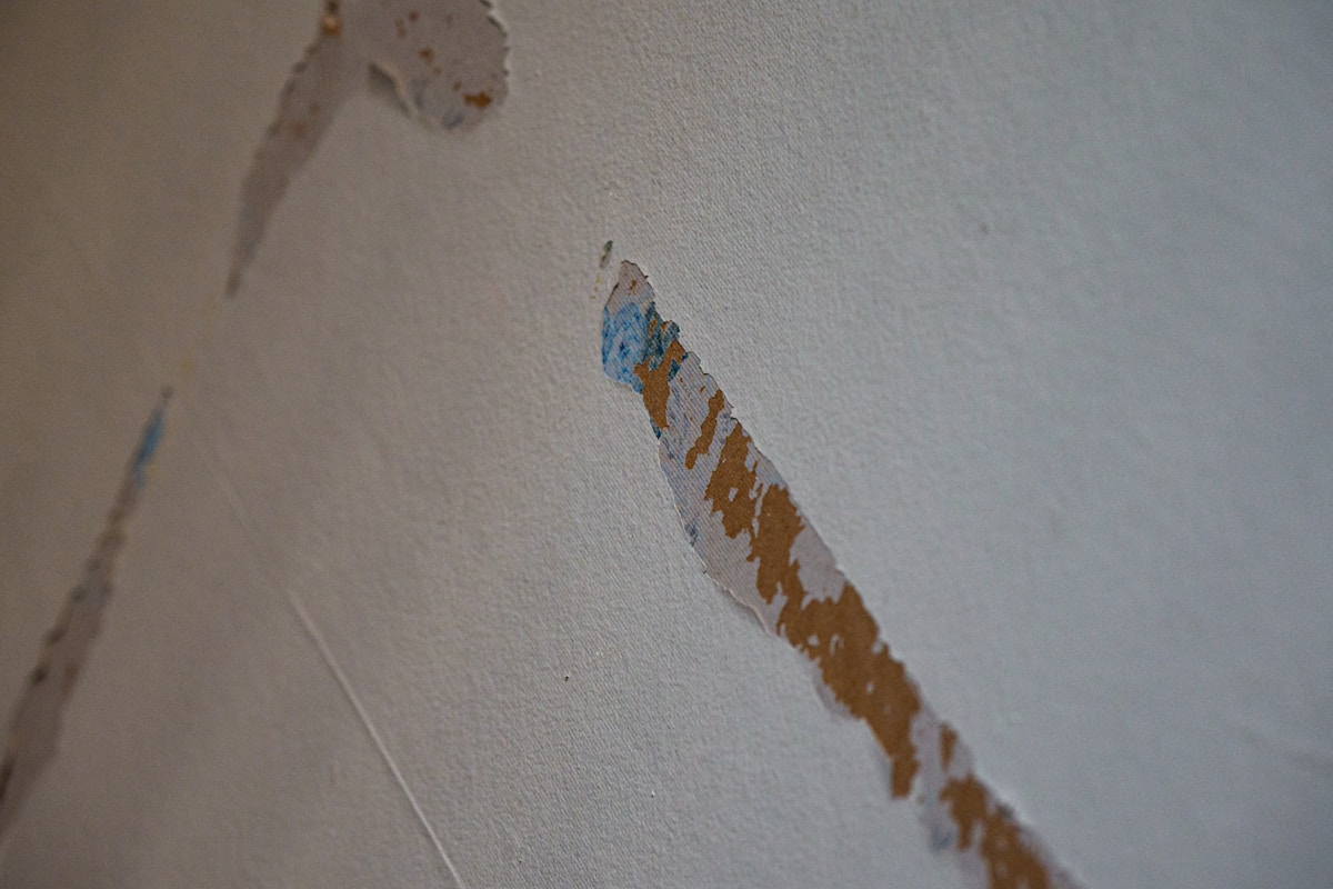 Structural Drying service in Mesa, AZ